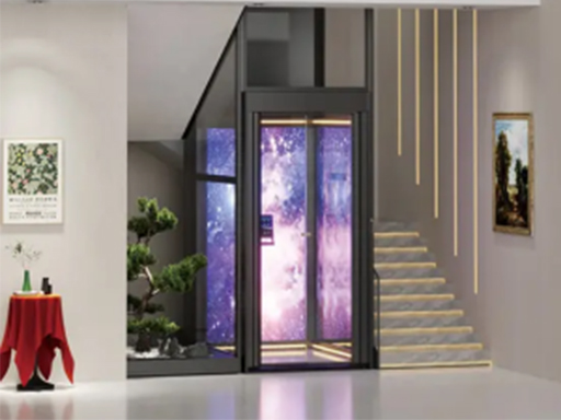 Platform Home Elevator