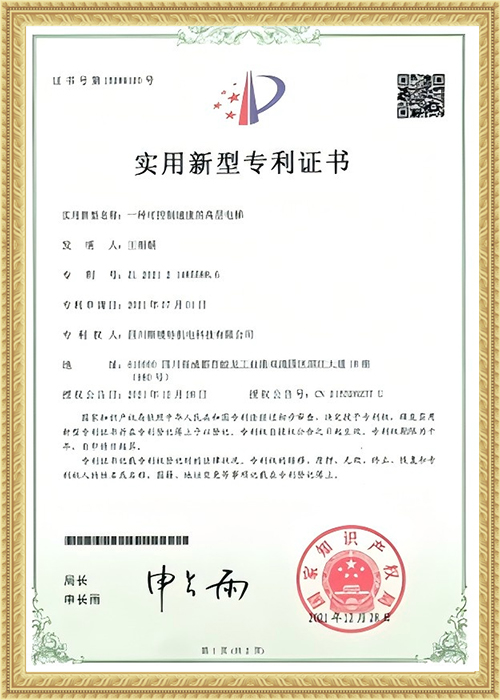 patent 2